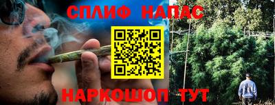 гашик Свободный