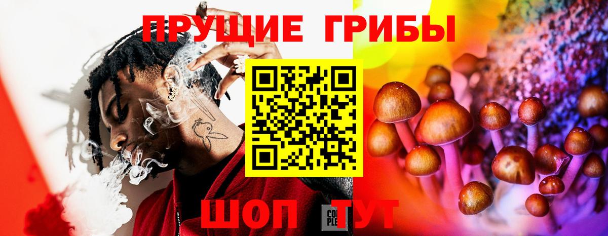 магазин продажи   Вход с VPN  Павлово  Псилоцибиновые грибы GOLDEN TEACHER 