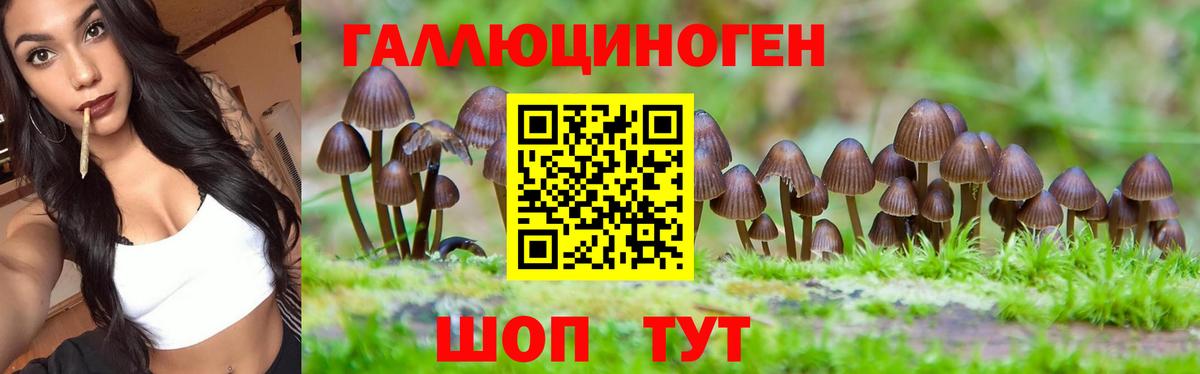 Галлюциногенные грибы прущие грибы Павлово
